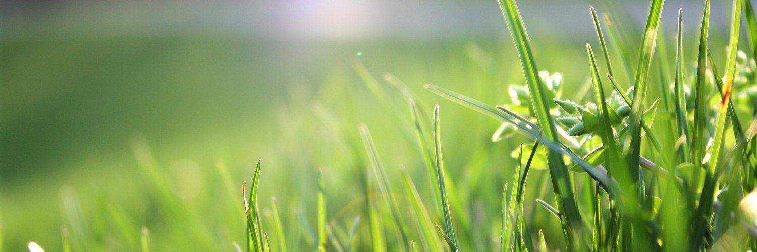 MoSeitler's profile banner image