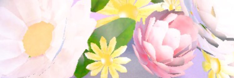 _sunkissced's profile banner image
