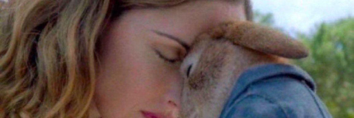heightsofmybaby's profile banner image