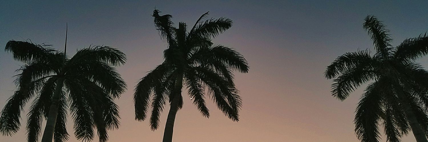 chrisl675's profile banner image