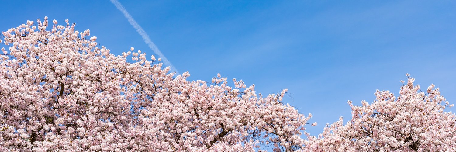 UW_Pharmacy's profile banner image