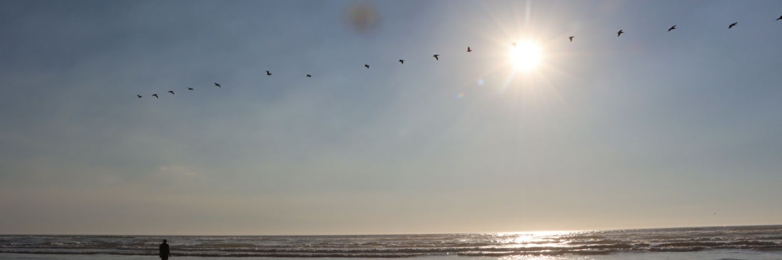 briphillips24's profile banner image