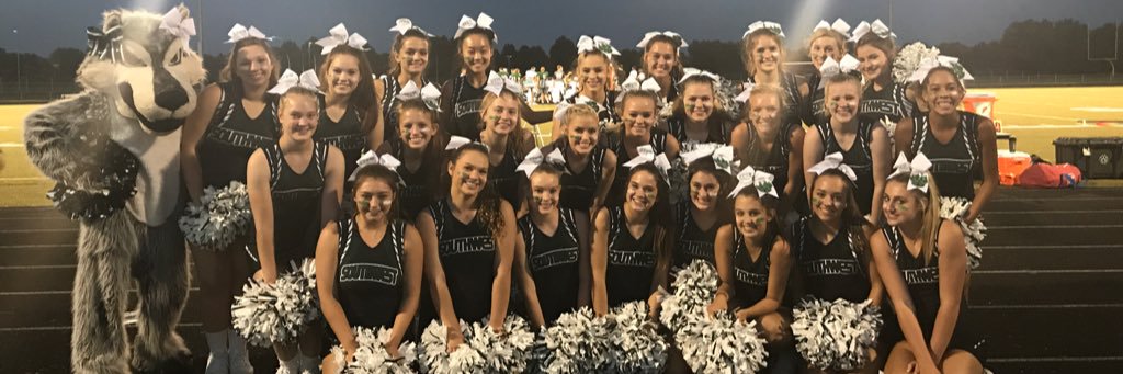 BVSWCheerTeam's profile banner image
