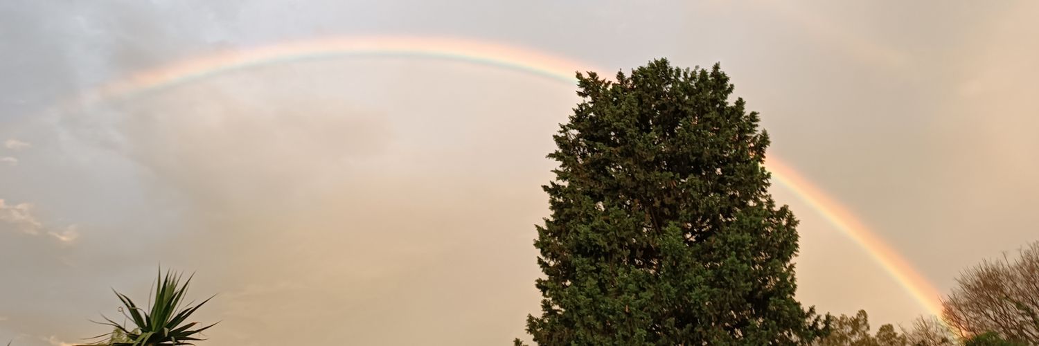 micarss_'s profile banner image