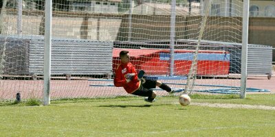 Dani banner
