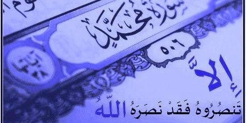 ali112815's profile banner image