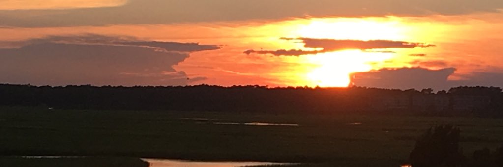 BronwynMixter's profile banner image