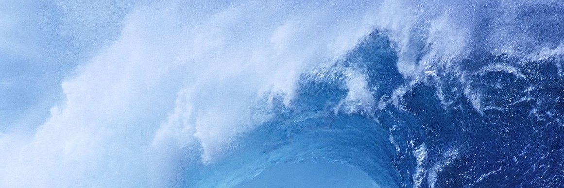 selinncayman's profile banner image