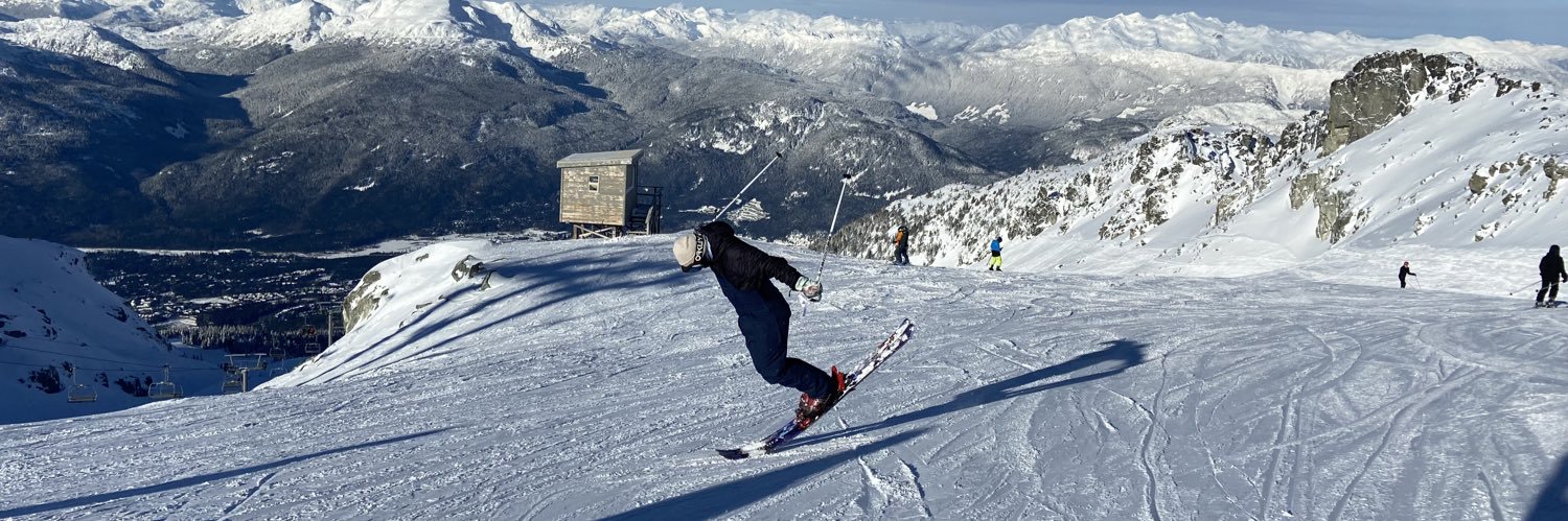 Lyndon Johnston banner