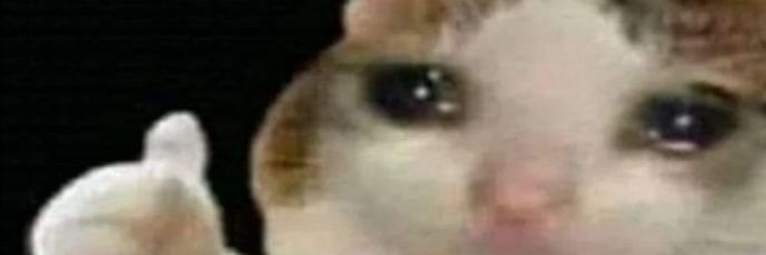 Crepomiel's profile banner image