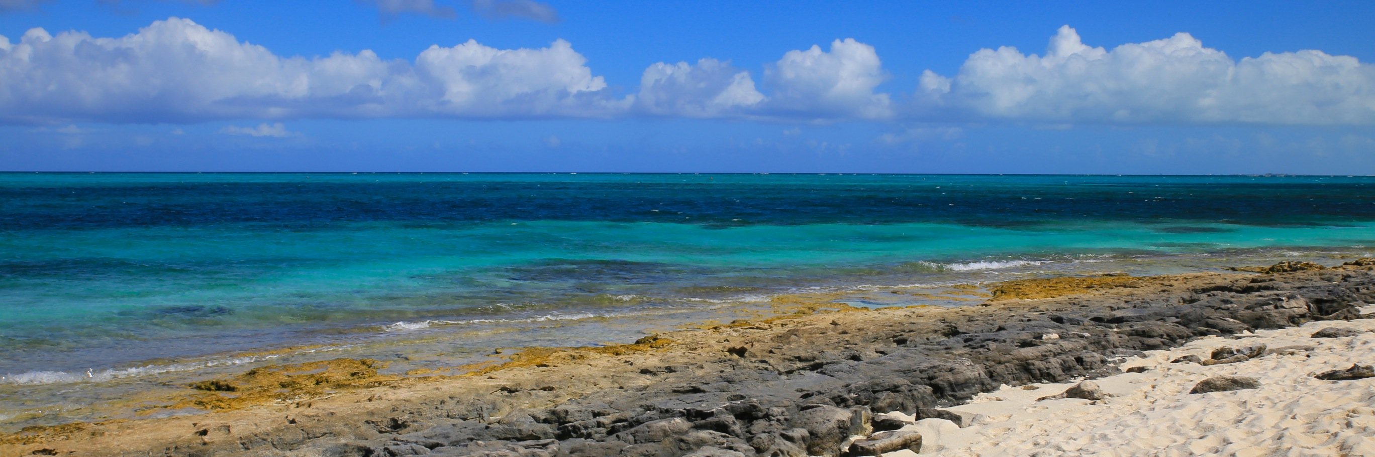 Liv4run's profile banner image
