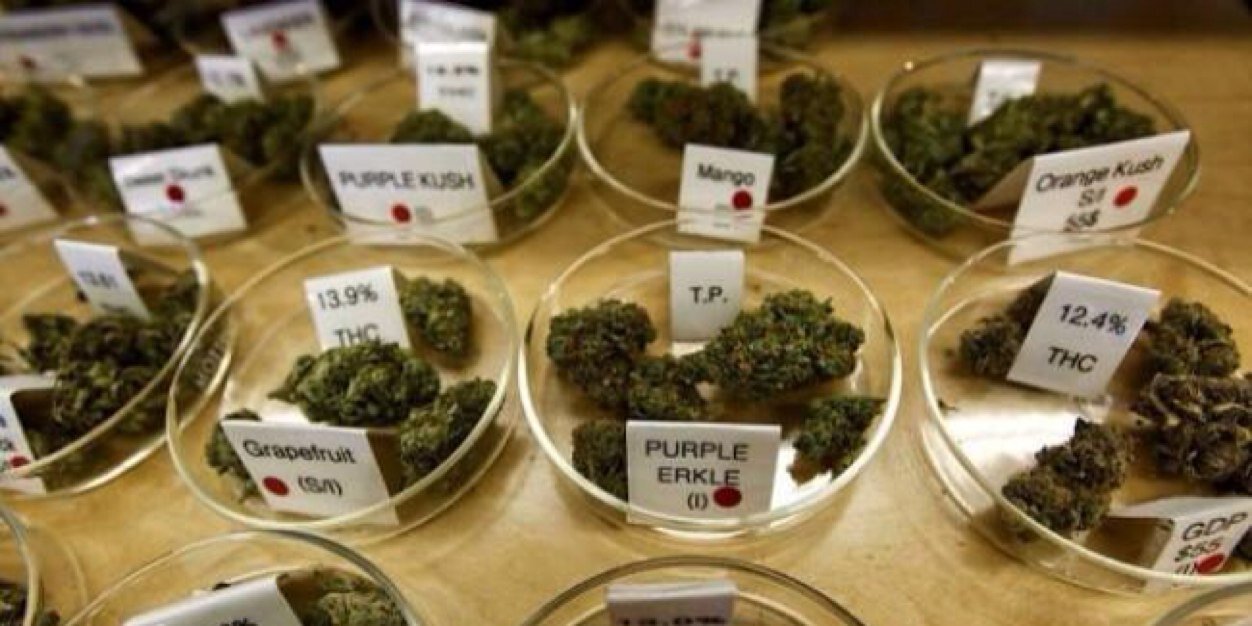 BudSnobs's profile banner image