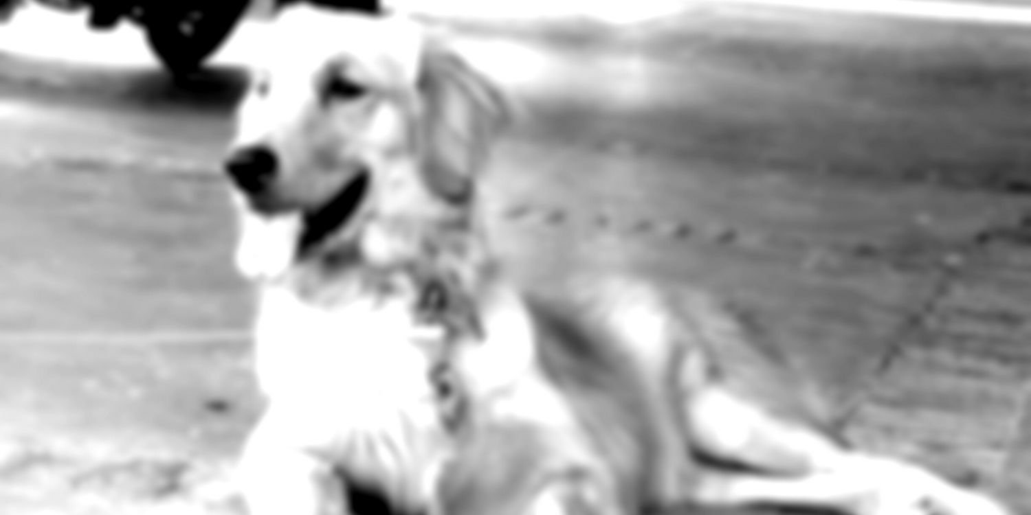 Florchu_Pe's profile banner image