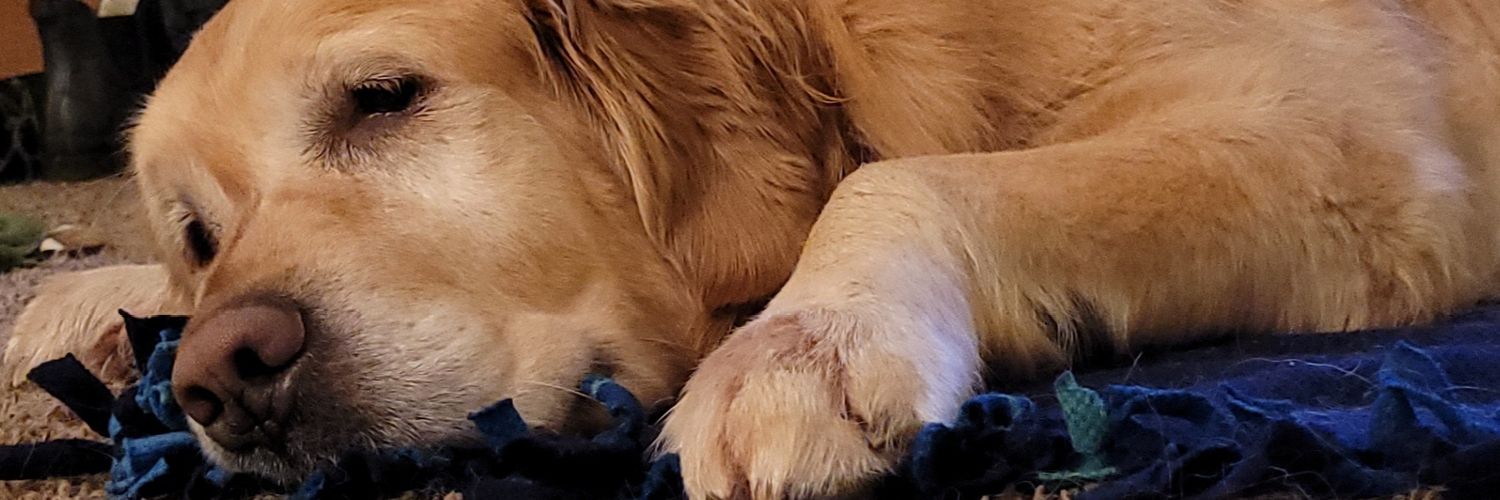 laneyjean97's profile banner image