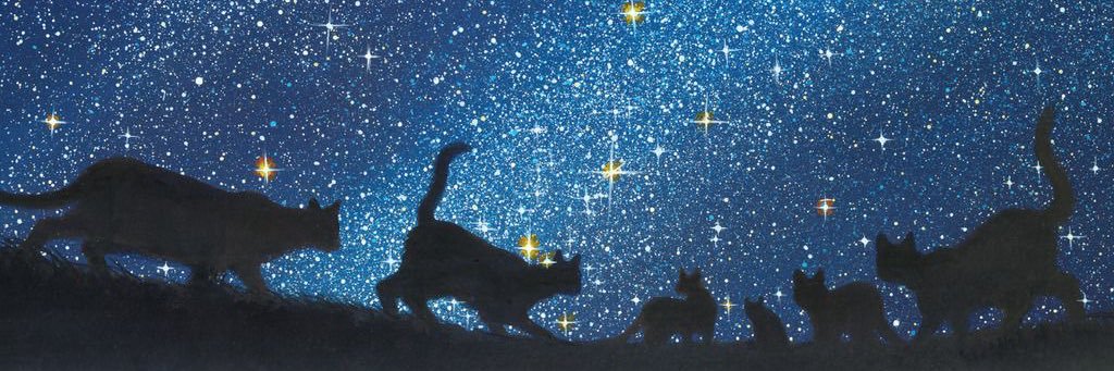 it's so gojover banner