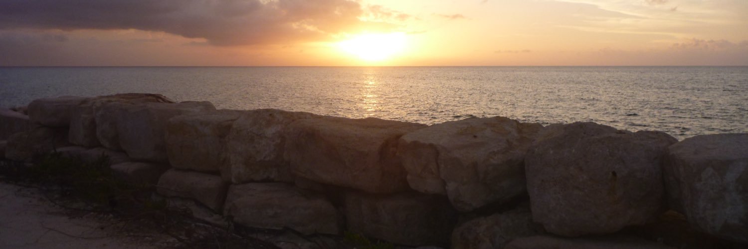 criscicarli's profile banner image