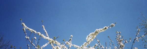 TheRealMrSlipz Profile Banner