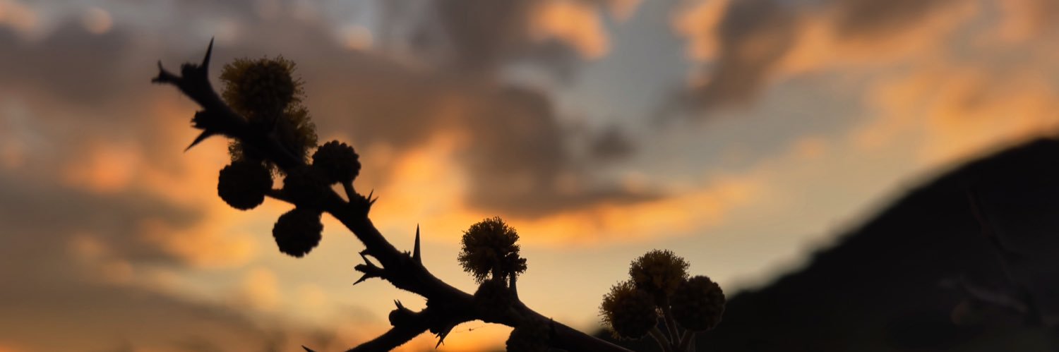 Taletron's profile banner image