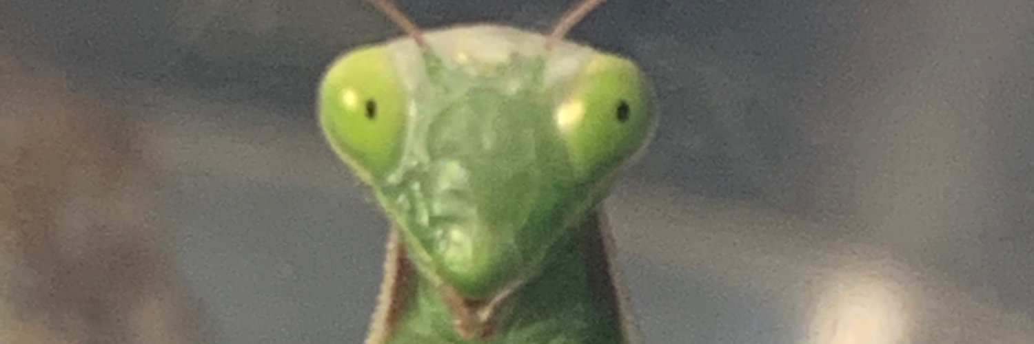 prostec's profile banner image