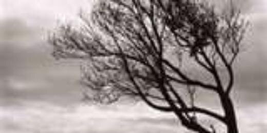 MrsMomoMd's profile banner image
