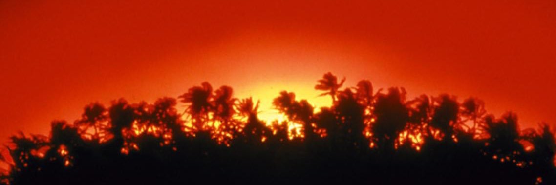 HaydenRobel's profile banner image