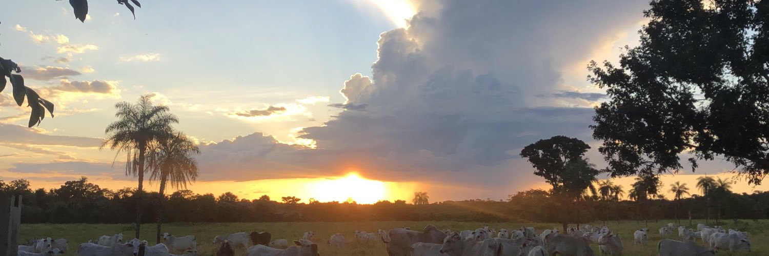 allanfm74's profile banner image