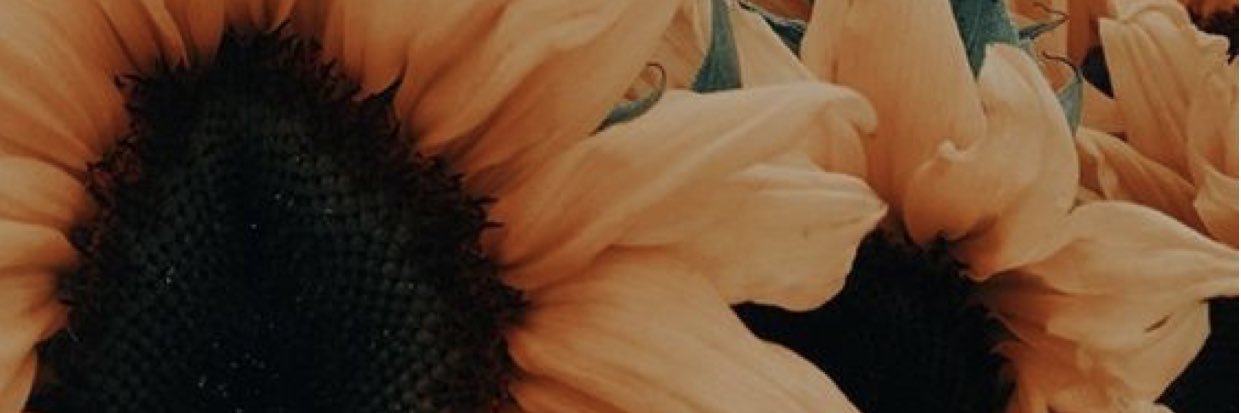 Aliifitt's profile banner image