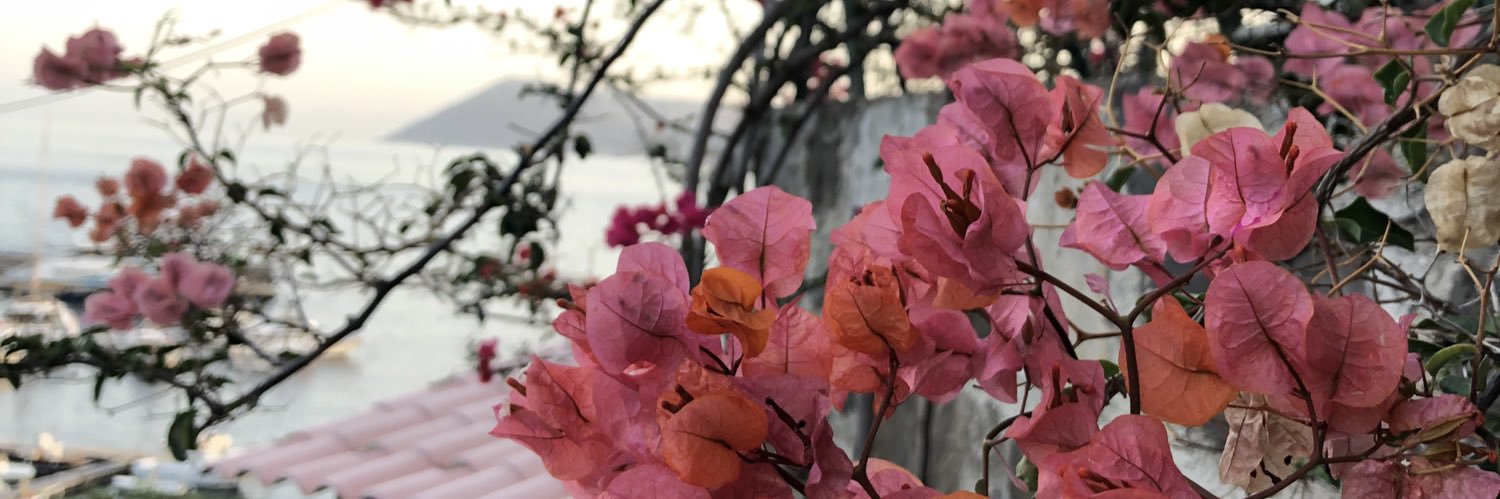 camifernanddz's profile banner image
