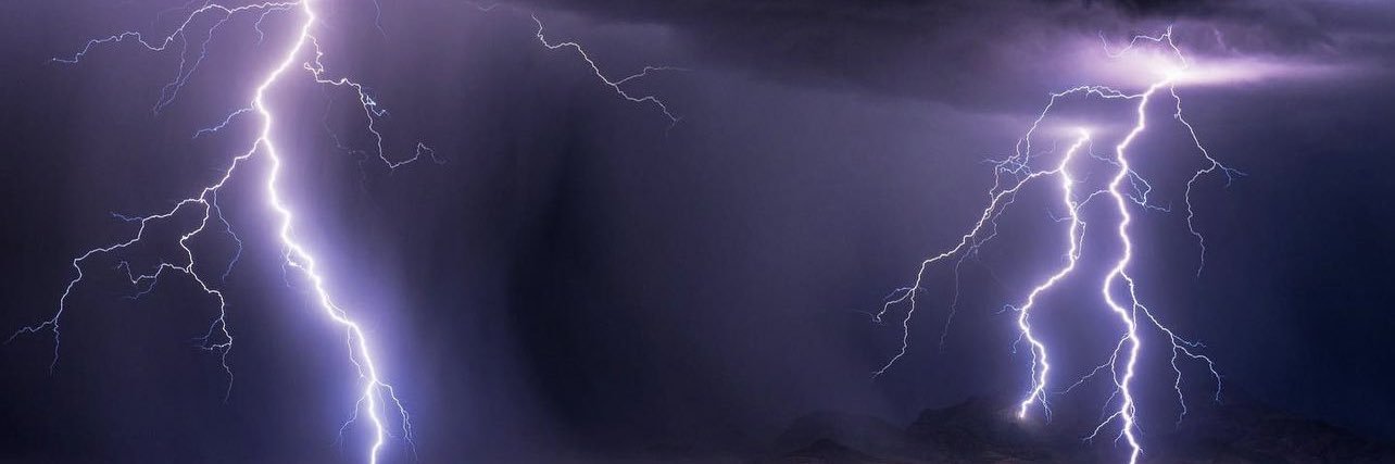 nicki banner