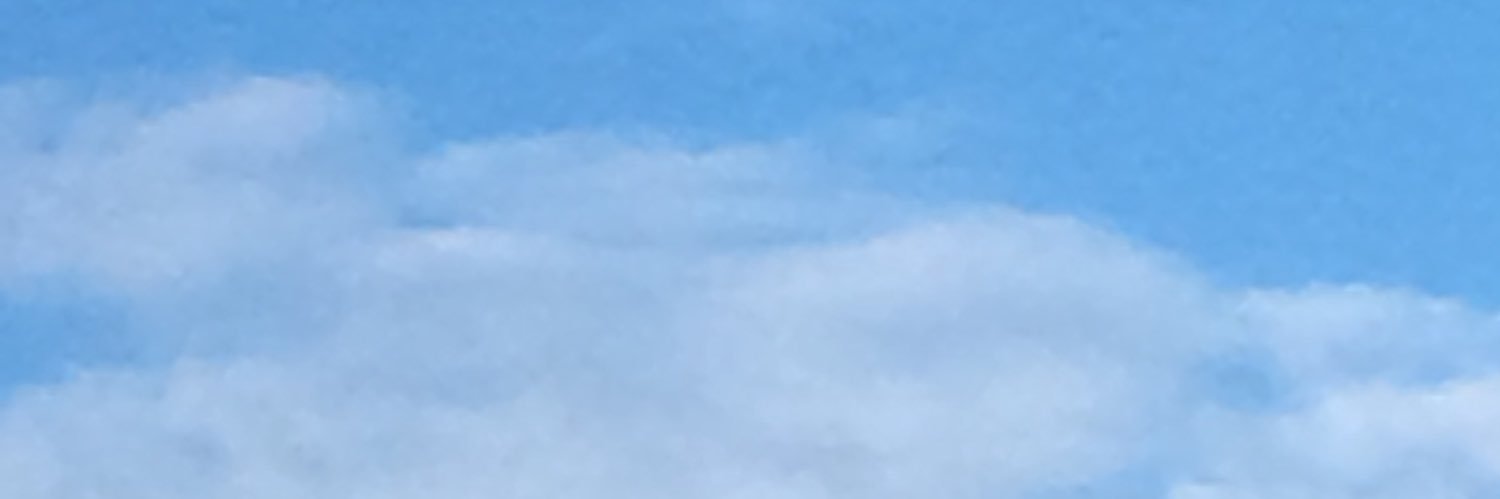 anlarota's profile banner image