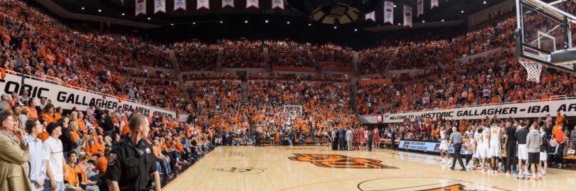 Artist Formerly Known As the Student Section banner