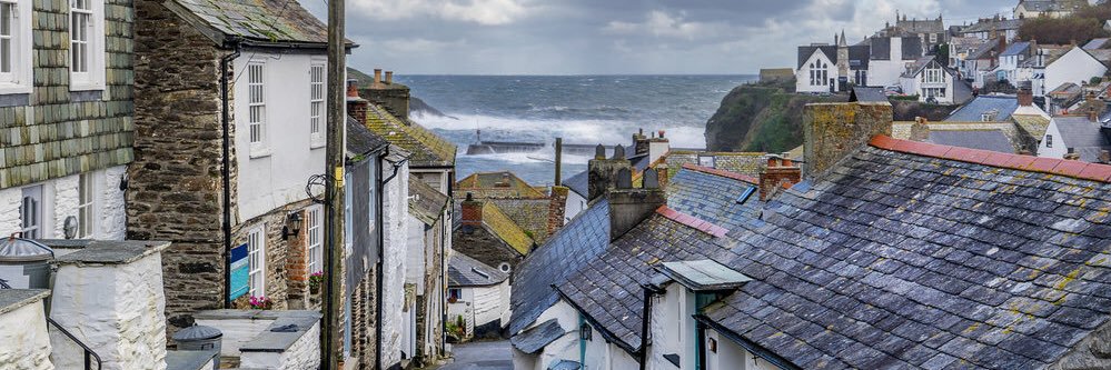 Mandrill Taylor, MD, MPH banner