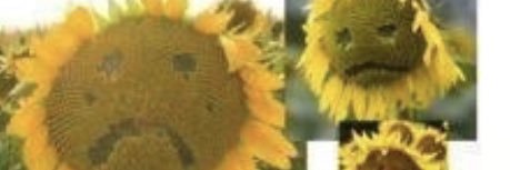 2_2_3_2's profile banner image