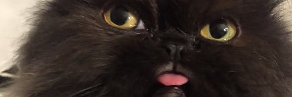 canuseeme360's profile banner image