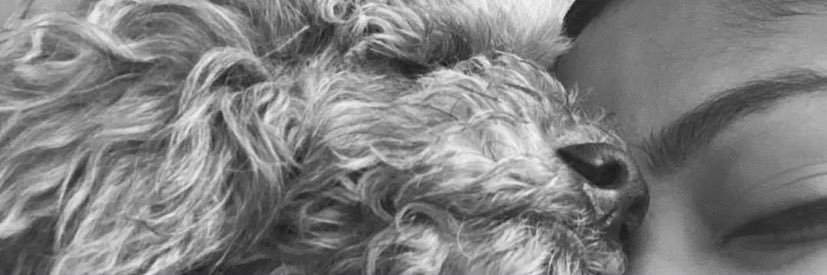 thaydavil's profile banner image