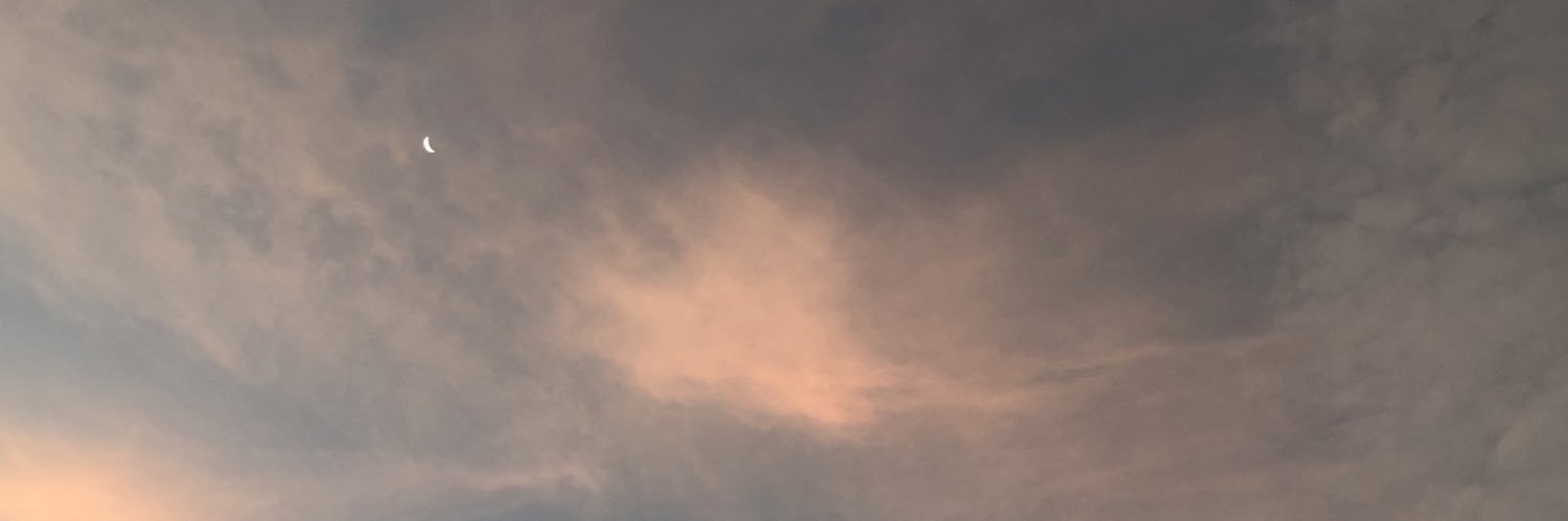 SigaOBob's profile banner image