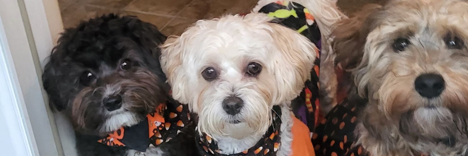 knutzie's profile banner image