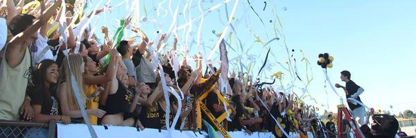 pvphsasb Profile Banner