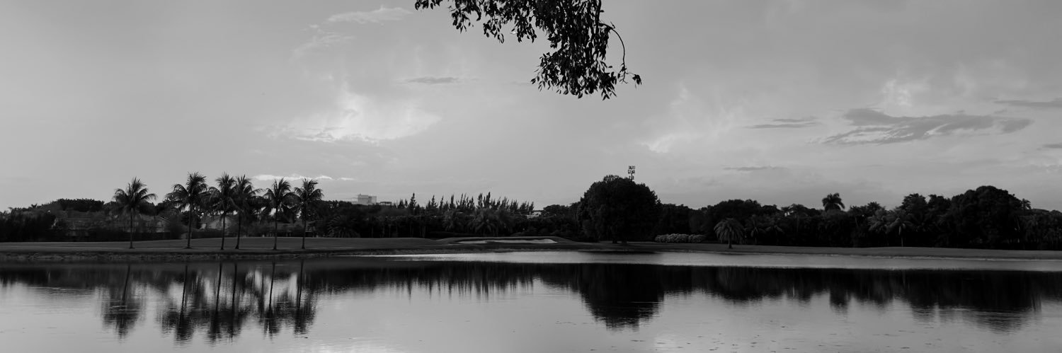 nxmuse's profile banner image