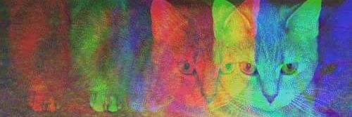 quitferr_'s profile banner image