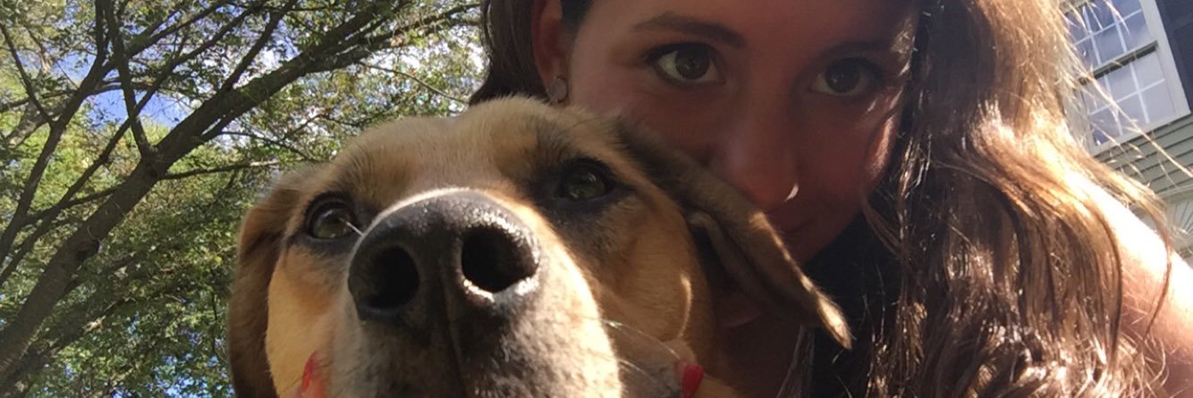 nicole_spinelli's profile banner image