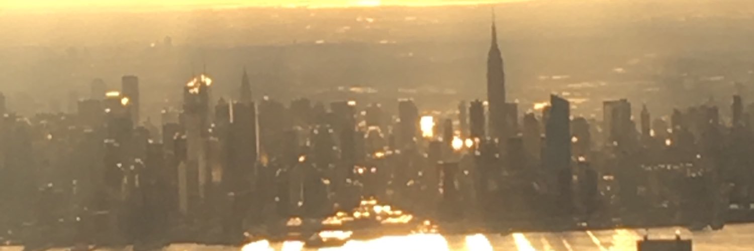 MGistinger's profile banner image