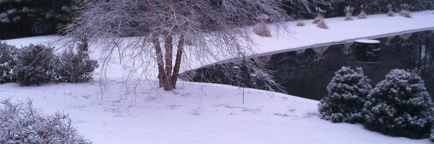 brown_alane's profile banner image