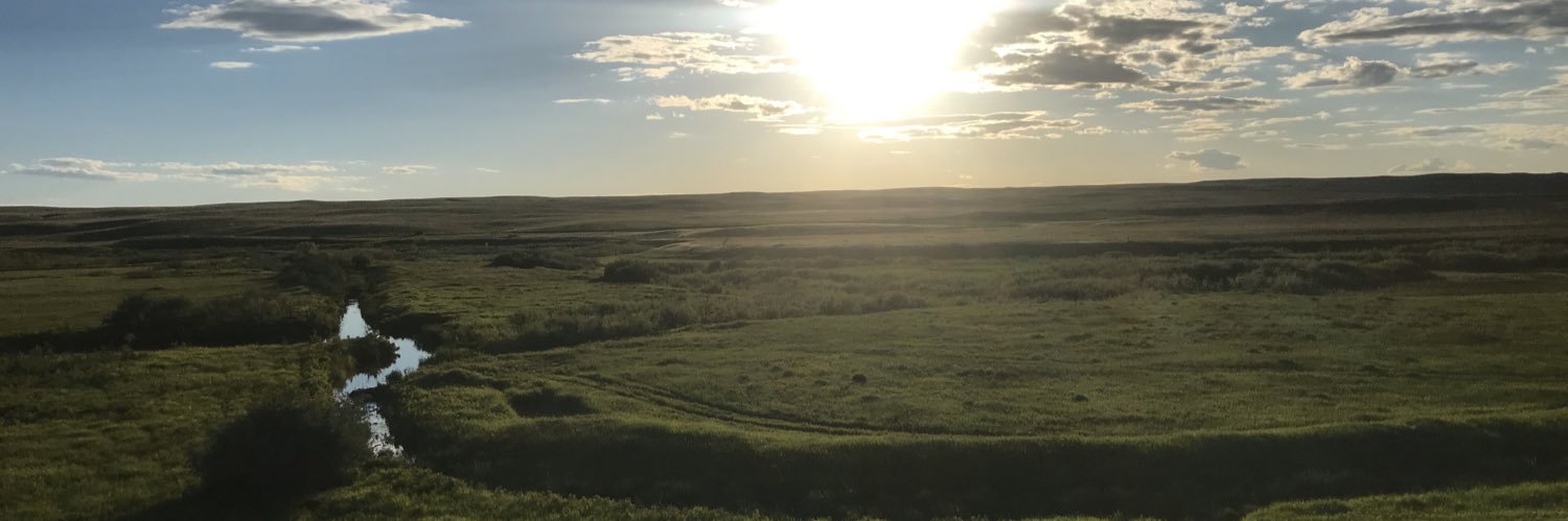 RambergTanner's profile banner image
