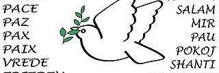 2013AngelaQ's profile banner image