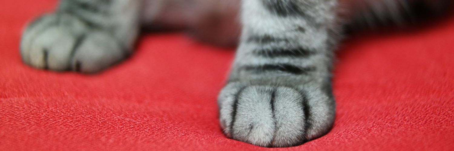 봉구네 김밥이 banner