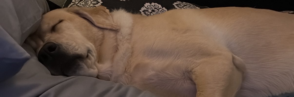 floreyyyy's profile banner image