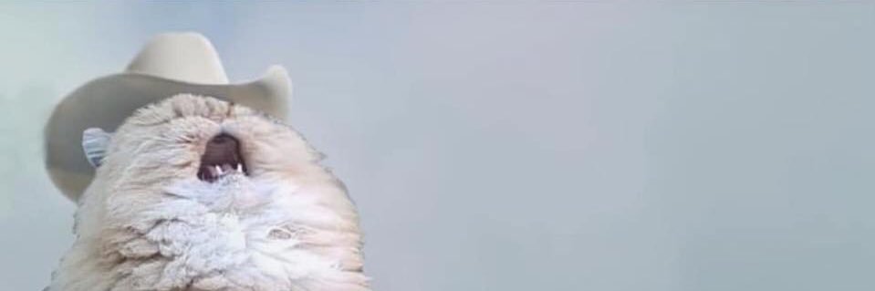 poisonchick's profile banner image