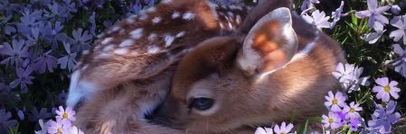 HannahGall4's profile banner image