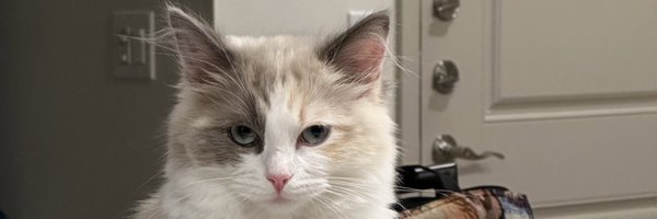 Gabe999_ Profile Banner